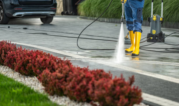 Best Rust Removal  in Nettleton, MS